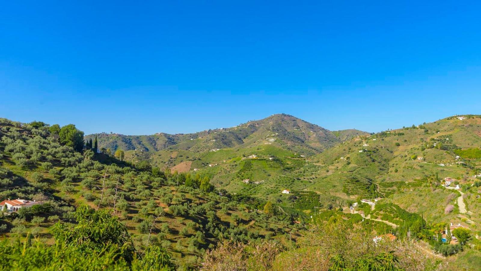 Villa Las Palmeras De Torrox By Ruralidays Eksteriør bilde